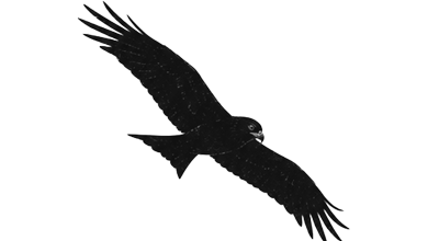 Humo & Piedra emblem: a bird in flight